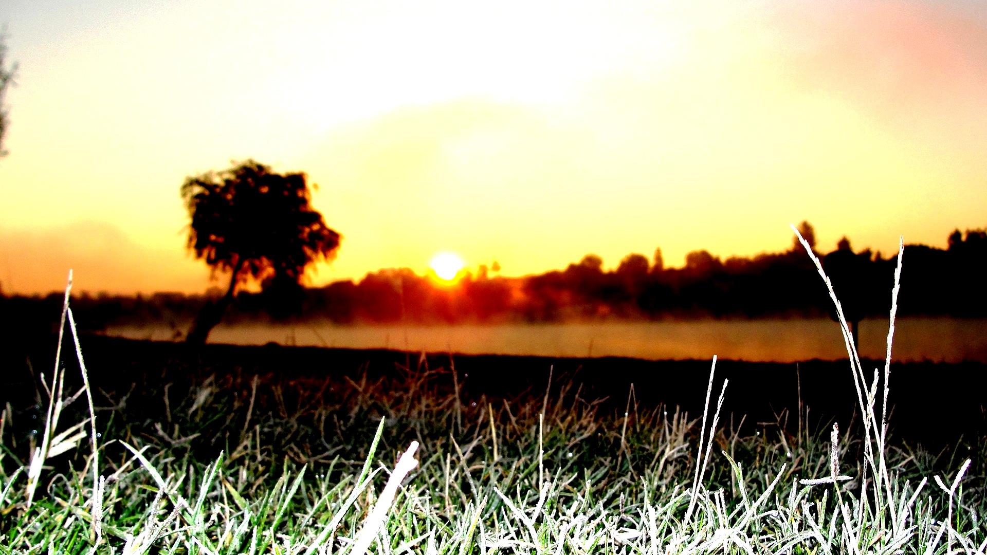 Moara Vlasiei 2 6 - 6 oct. - dsc02709.JPG